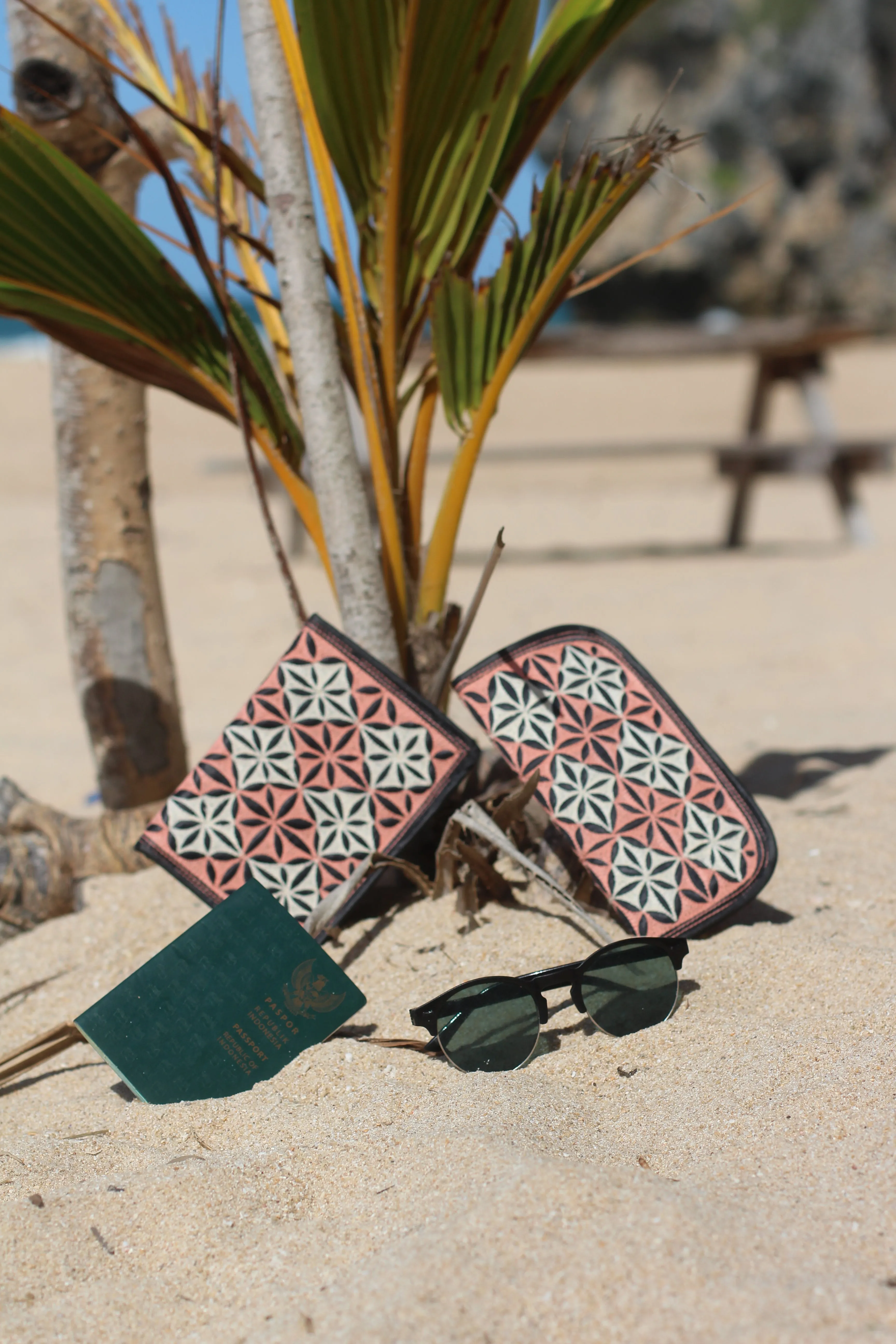 Gusi Sunglasses Case